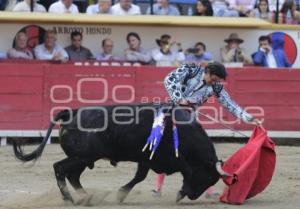 TOROS . NOVILLADA