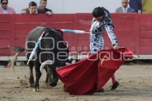 TOROS . NOVILLADA