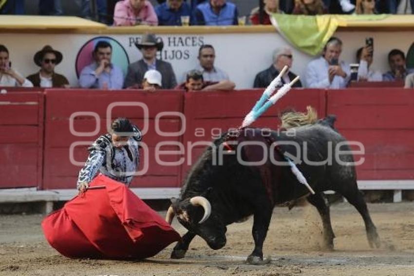 TOROS . NOVILLADA