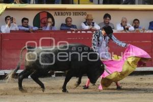 TOROS . NOVILLADA