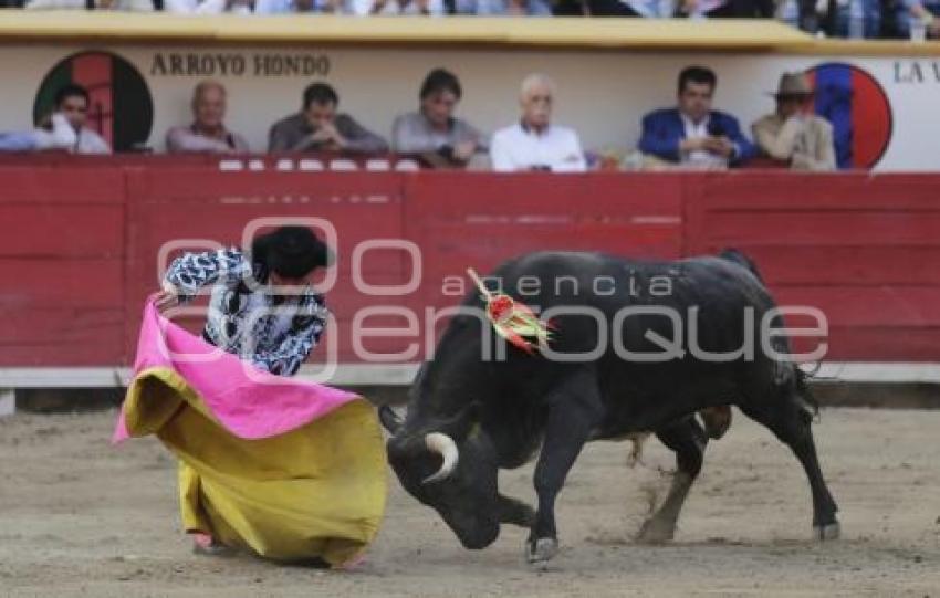 TOROS . NOVILLADA