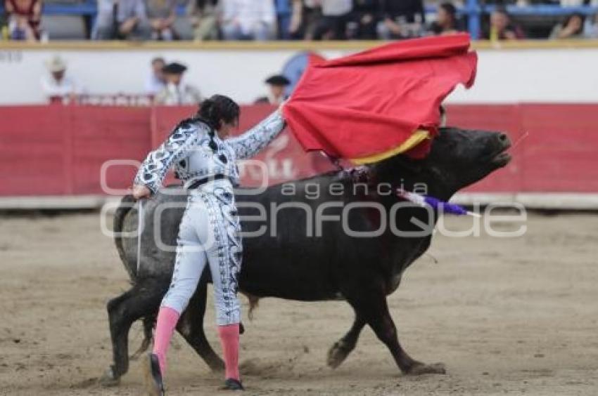 TOROS . NOVILLADA