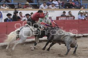 TOROS . EL RELICARIO