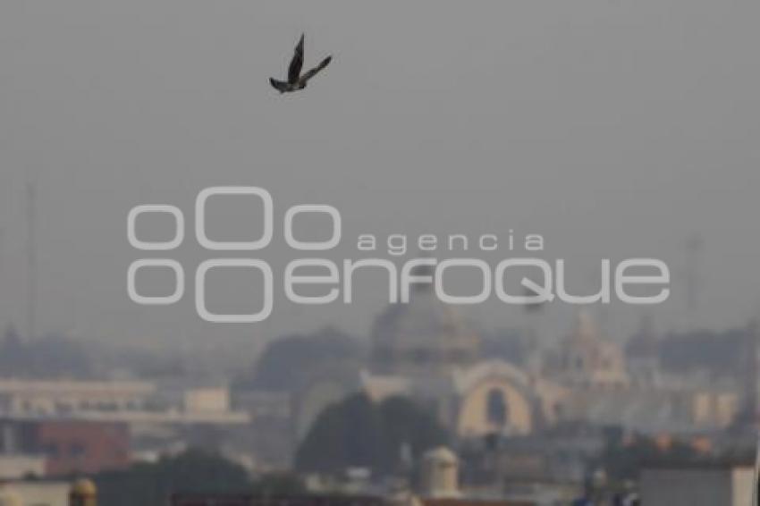 CONTINGENCIA AMBIENTAL