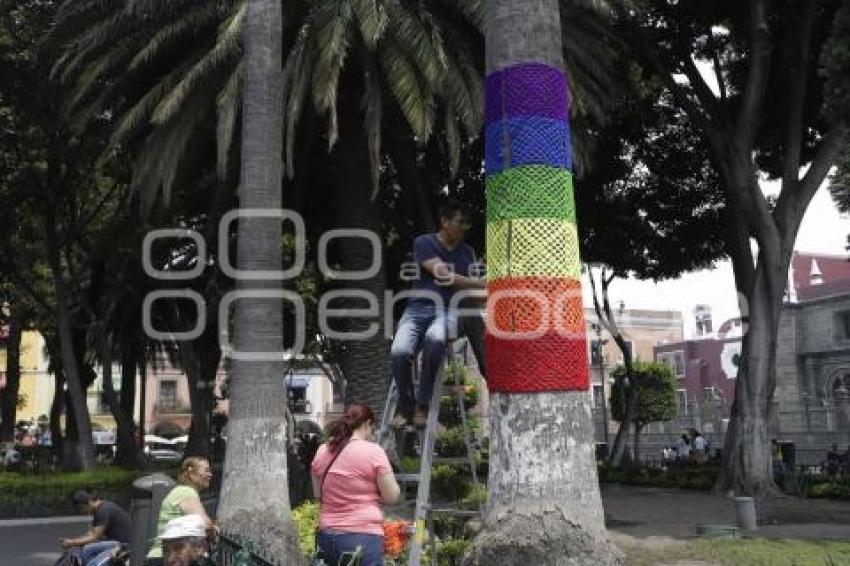 ÁRBOL POR LA NO DISCRIMINACIÓN