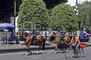 POLICÍA MONTADA