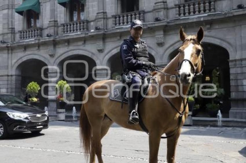 POLICÍA MONTADA