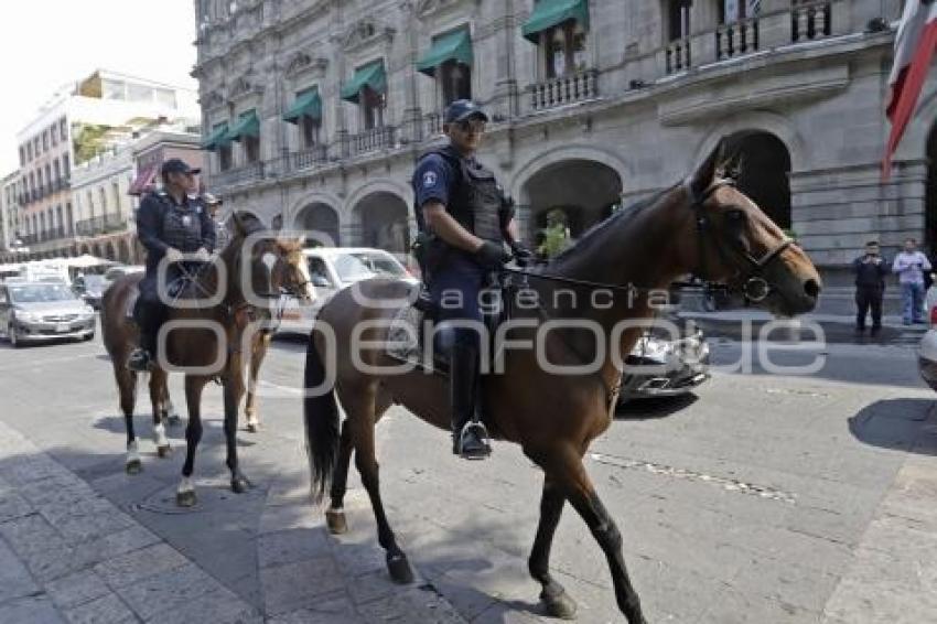 POLICÍA MONTADA