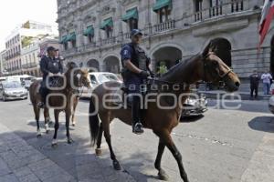 POLICÍA MONTADA