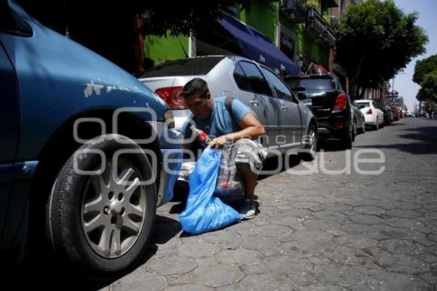 MEDIO AMBIENTE . ACTIVISTAS