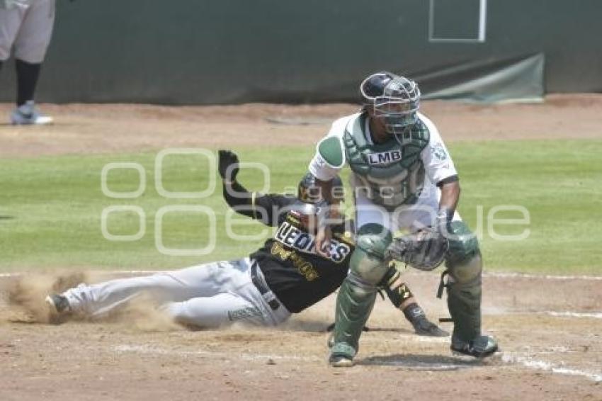 BÉISBOL . PERICOS VS LEONES