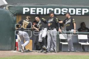 BÉISBOL . PERICOS VS LEONES