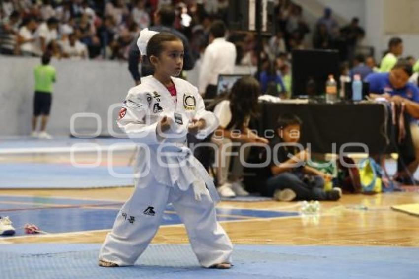 COPA OLÍMPICA DE TAEKWONDO