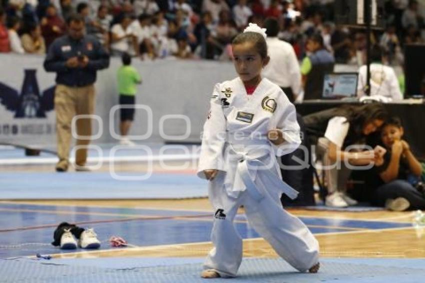 COPA OLÍMPICA DE TAEKWONDO