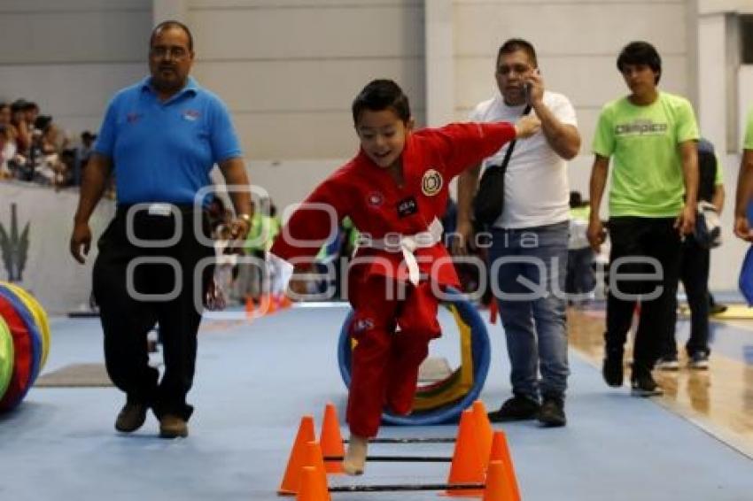 COPA OLÍMPICA DE TAEKWONDO