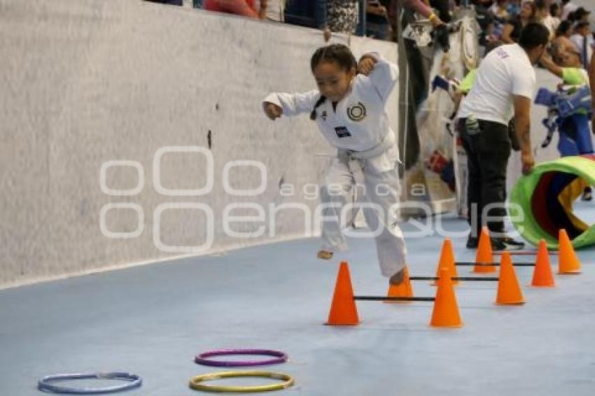 COPA OLÍMPICA DE TAEKWONDO