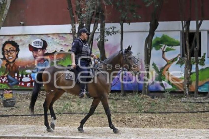 POLICÍA MONTADA