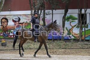 POLICÍA MONTADA