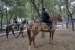 POLICÍA MONTADA