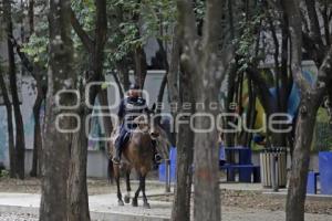 POLICÍA MONTADA