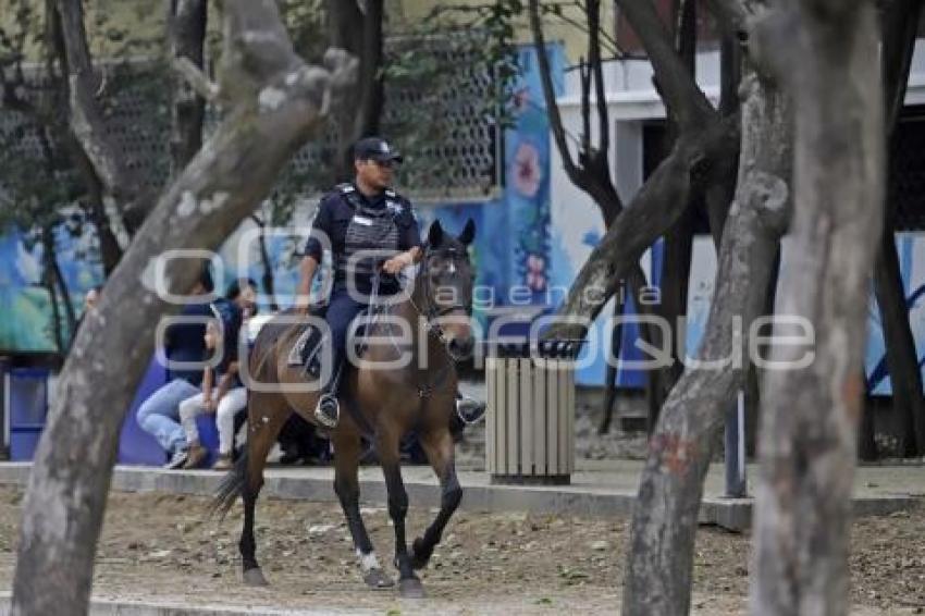 POLICÍA MONTADA