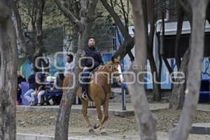 POLICÍA MONTADA