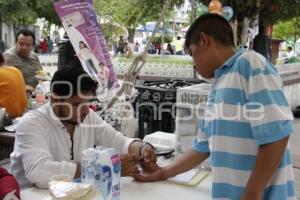 ELECCIONES . ACATLÁN DE OSORIO