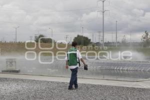 AUDI MÉXICO . DÍA MEDIO AMBIENTE