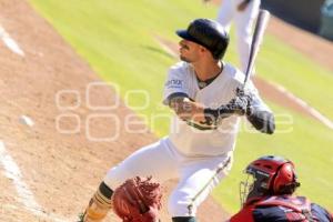 BEISBOL . PERICOS VS BRAVOS