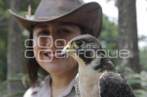 AFRICAM . PROGRAMAS DE CONSERVACIÓN