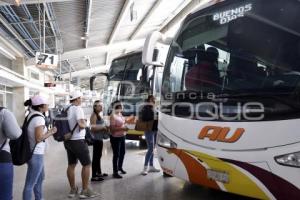 AUTOBUSES . IDENTIFICACIÓN