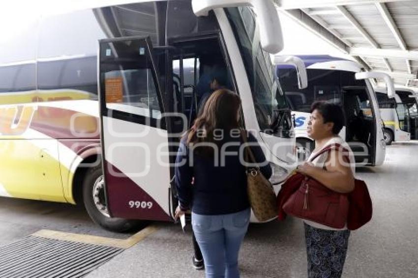 AUTOBUSES . IDENTIFICACIÓN