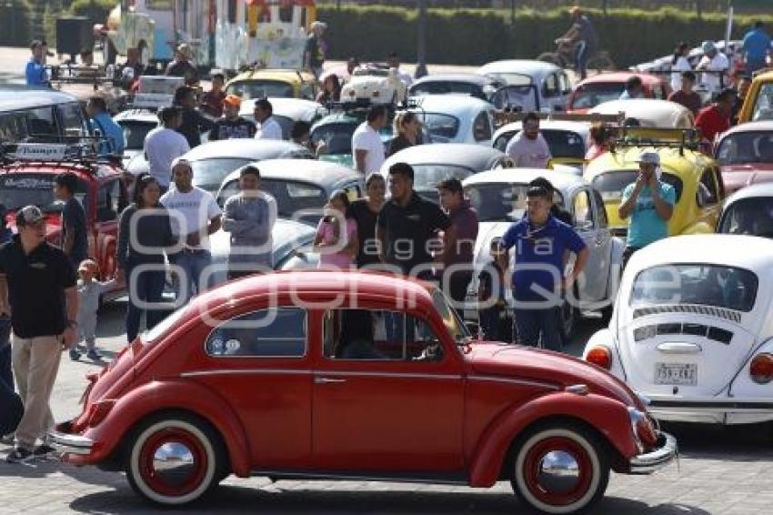 DÍA MUNDIAL DEL VOCHO