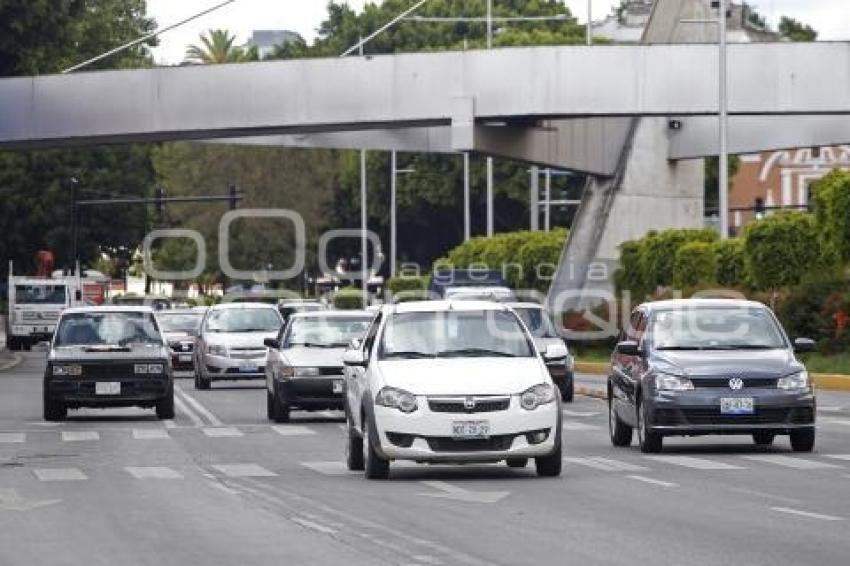 TRÁFICO VEHICULAR