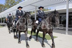 POLICÍA MONTADA