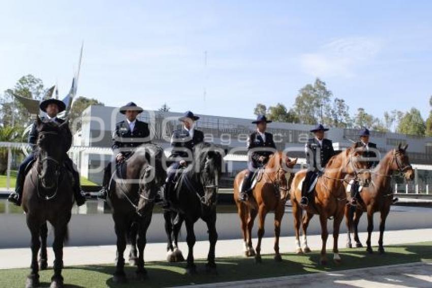 POLICÍA MONTADA