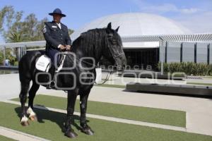 POLICÍA MONTADA