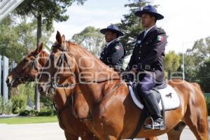 POLICÍA MONTADA