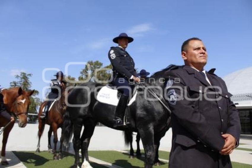 POLICÍA MONTADA