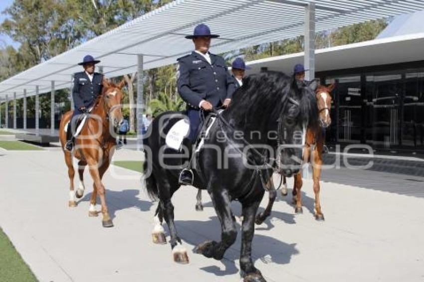 POLICÍA MONTADA