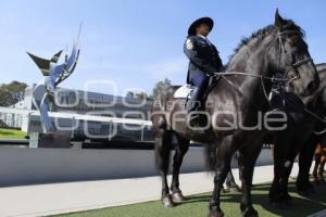 POLICÍA MONTADA