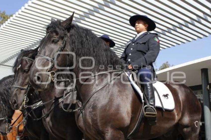 POLICÍA MONTADA