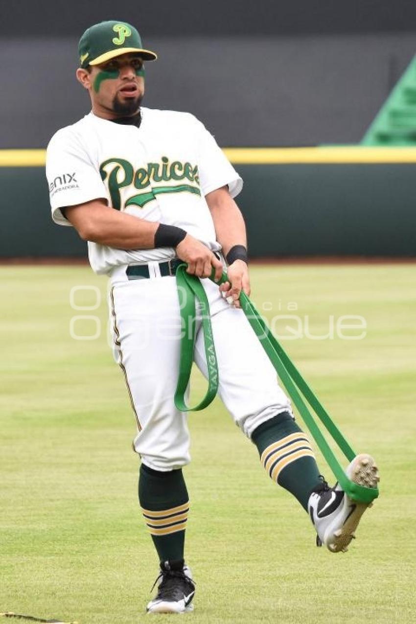 BEISBOL . PERICOS VS TECOLOTES