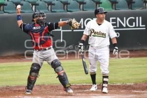 BEISBOL . PERICOS VS TECOLOTES