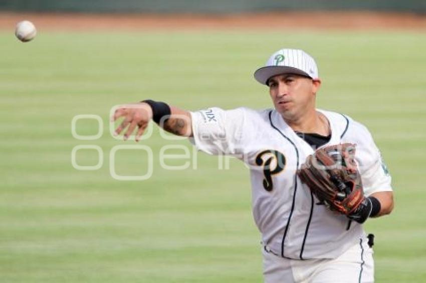 BEISBOL . PERICOS VS ACEREROS