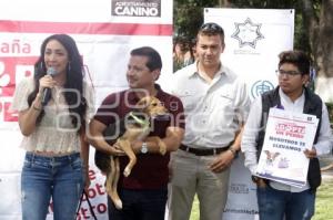 CAMPAÑA ADOPCIÓN CANINA