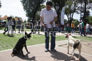 CAMPAÑA ADOPCIÓN CANINA