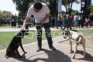 CAMPAÑA ADOPCIÓN CANINA