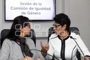 CONGRESO . COMISIÓN IGUALDAD DE GÉNERO