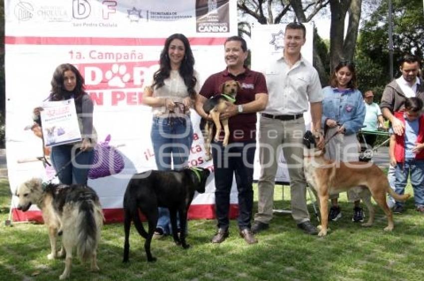 CAMPAÑA ADOPCIÓN CANINA